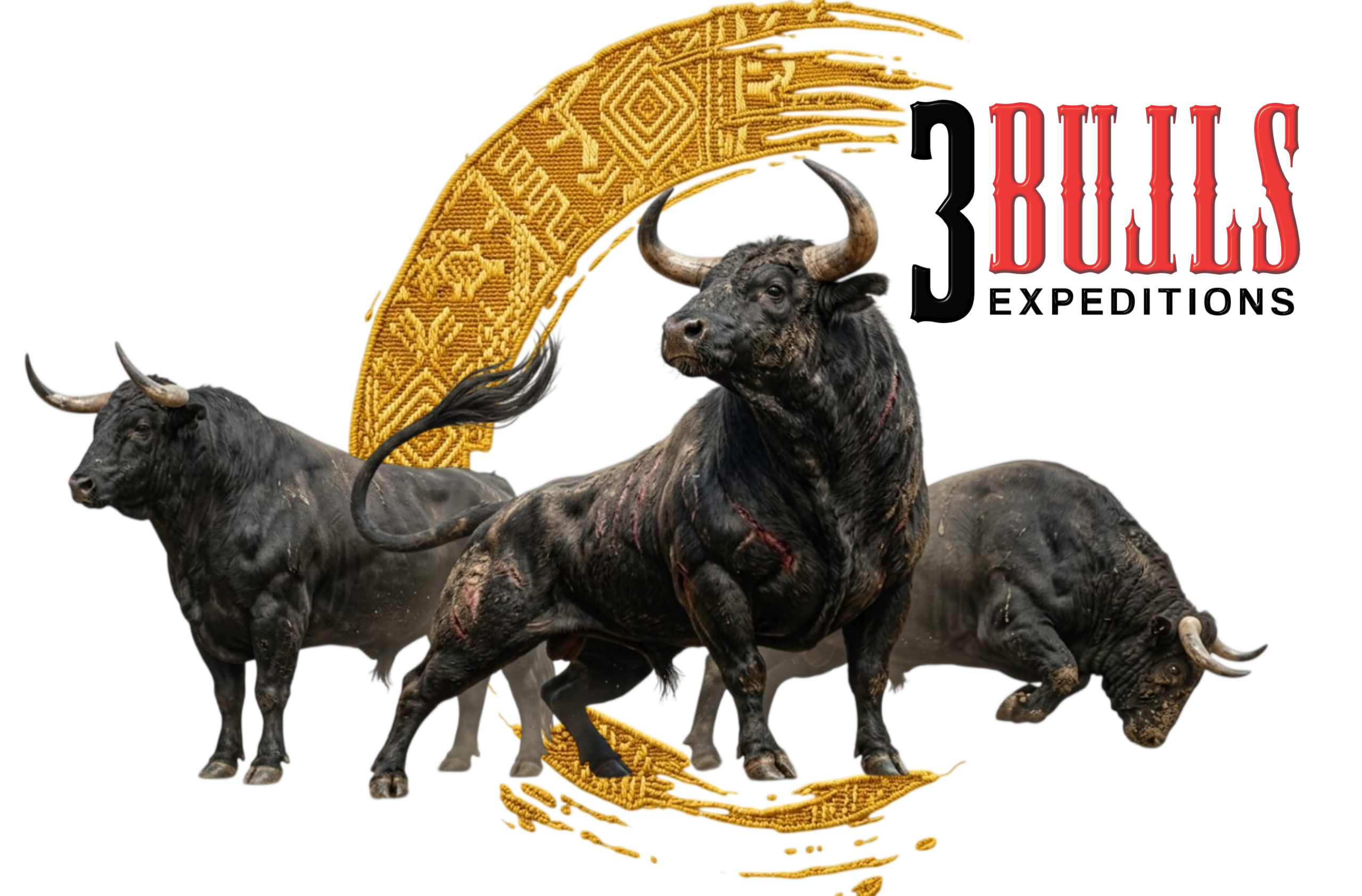 3bulls expeditions